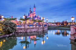 mingsonjia:  Shanghai Disneyland by 白日梦想家陈铭 