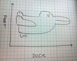 scienceisbeauty:  I love it. The more I look at it … it seems to me more accurate. (8() Via FlowingData: Duck vs. rabbit plot 
