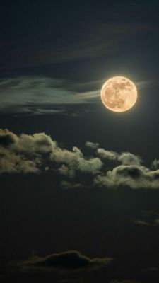 omg-sweetunlikelycollector-me:  brookbooh:  Full moon  @possit-de-tenebris 