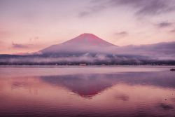 softwaring:Views of Mt Fuji; Yuga Kurita