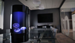 sixpenceee:  Now You Can Have Pet Jellyfish At HomeWhy get a lava-lamp when you can have a jellyfish tank? Florida company Jellyfish Art, who’s been selling jellyfish aquariums since 2011, has just concluded a successful kickstarter for a 3rd-generation,