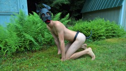 pupfern:  Pup Fern in his natural habitat. Anyone want to check me for ticks? 