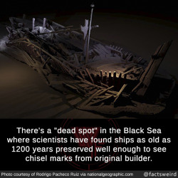 mindblowingfactz:  There’s a “dead spot” in the Black Sea where scientists have found ships as old as 1200 years preserved well enough to see chisel marks from original builder.