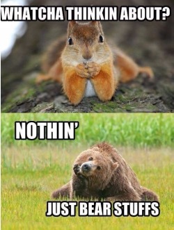 captainbubbleyum:  I’m the squirrel and livingbount is the bear… 