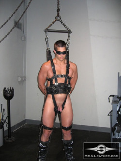 rublea67:  mrsleather: Waiting for suspension My body is not my own anymore. I’m just a sextoy for master. 