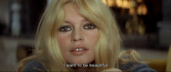 missbrigittebardot:    Brigitte Bardot - “Two Weeks in September”, 1966   