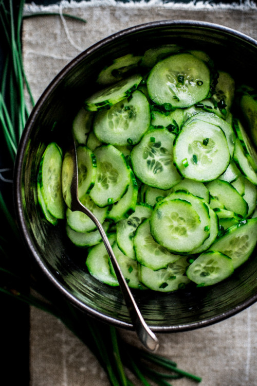 German cucumber salad matures porn