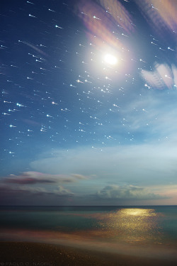 capturedphotos:  The Moon and Stars 28 images combined, each with a 15 second exposure. Taken around 8:30pm at Caspersen Beach, Florida.  Photographed by: Paolo Nacpil 