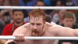 dixiewildflower:  Sheamus’ sex hair from last night.