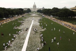 obitoftheday:  love-scapes:  ianbrooks:  One Million Bones DC Led by artist Naomi Natale as part of the One Million Bones Project, this mass grave assembled at the National Mall in Washington, DC is composed of bones made of paper and plaster, but symboli