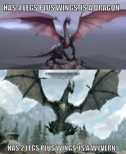 that-fabulous-bastard:  the-collecting-turnip:  astoundingbeyondbelief:  ohgodhesloose:  pyrosbastionofmetaphysicalmayhem:  FUCKING THANK YOU!  A fast and loose fantasy classification guideline.  So Death Ghidorah and Kaiser Ghidorah are dragons but King