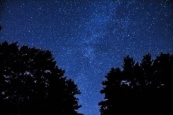 ampphoto:  The Stars Between the Trees