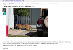 bigmoutheyebrows:  LOOK AT THIS CRAIGSLIST LISTING  