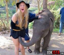 Ya&hellip;. I now wish to be an elephants friend.  That one if possible.  XD