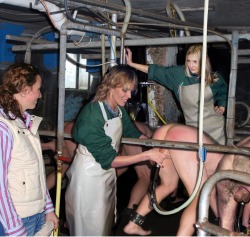 LOVE IT, AN ALL MALE MILKING FARM.  BET THAT MILK IS WARM, RICH AND CREAMY .  YUMMY !!!!!