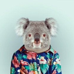 myedol:  Zoo Portraits by Yago Partal This wildly entertaining series comes courtesy of Yago Partal who dresses up zoo animals in snazzy attire. The entire series is really well done and a lot of the outfits match the critters characteristics perfectly. Y