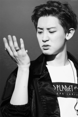 celestyeol: this face... this is a great face. ☆ 