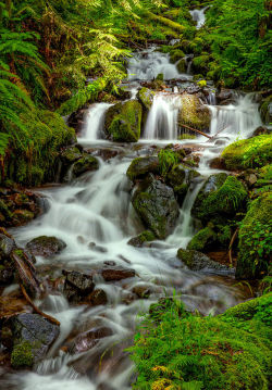 lori-rocks:  Swedish Creek Waterfall…by Richard Duerksen