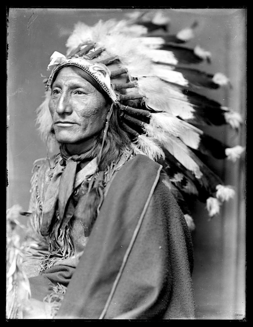 Whirling Horse. Lakota. ca. 1900. Photo by Gertrude Käsebier Nudes &amp; Noises  