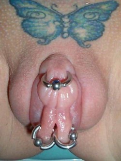  pussymodsgalore Beautifully swollen vacuum pumped pussy with a HCH and two inner labia piercings, all with rings. 
