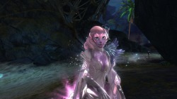 tranquil-effect:  My Sylvari has the freckle face now. &lt;3