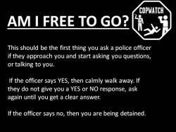 fuckingradfems:  notsocolourblind:  hello-imaliveandwandwell:  hiroshimalated:  Please keep this circulating. Cops are getting more and more brazen, know your rights!  good to know  Reblogging every time this goes past  I had to learn my rights the hard