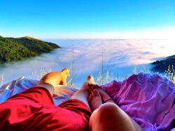 surya-bhakti:  laughing-trees:  mooonkid:  on cloud 9 with the love of my life, or actually, above it :)  oh my goodness  are you fucking with me  Dis remind me of living on the road with Amandalin.There were countless days where we’d open up the back