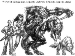 doctorbleed:  The various werewolf forms from World of Darkness. Homid: The human form, Self explanatory. Glabro: The second form, somewhere between “Werewolf” and “Human.” The creature grows sharp claws and gains wolf-like features, but grows