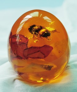 mineralists: Bumble Bee in Amber 