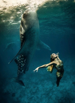 sixpenceee:  Whale Shark Fashion ShootThese pictures of endangered whale sharks along side models were taken by environmental photographer Shawn Heinrichs to raise awareness. 