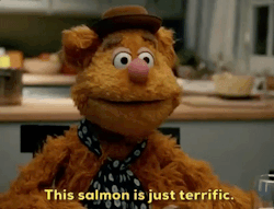 brunhiddensmusings:  graphitetroll:  its-pronounced-eye-gor: the muppets, 1x01: “Pig Girls Don’t Cry.”  Why did they make me watch Fozzy Bear experience a micro aggression  his dating life was a lot of upward struggle  