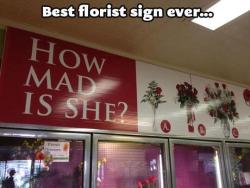 yersinia—pestis:  merlinsbearditsthedoctor:  No but I can just imagine a person bursting through the door screaming “I NEED YOUR HELP. IT’S A NINE” and everyone in the shop stops and all collectively goes “Oh shit” and the florists start working