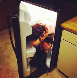 distortnoise:  Sometimes when its really hot out i get drunk and pass out in refrigerators. 