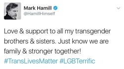 i-am-an-iron-fan:BLESSED POST. REBLOG TO LET EVERY TRANS PERSON KNOW THAT LUKE SKYWALKER KILLS TERFS ON SITE.