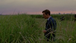 lionfloss:“I think human consciousness is a tragic misstep in evolution. We became too self-aware. Nature created an aspect of nature separate from itself - we are creatures that should not exist by natural law.”True Detective: Season 1 (2014)