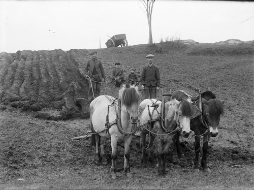 hippography: Farm work, Yndestad, 1916. SFFf-1989091.162715 Ploughing at Yndestad in 1916. Photographer: Paul Stang  Fylkesarkivet i Vestland  