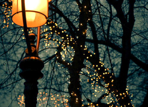 String-of-lights  Tumblr