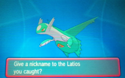 pokemon-global-academy:  I was doing the Eon Ticket event and I accidentally kill the first Latios, so I have to soft reset to try again and this time a Shiny Latios was waiting for me!  