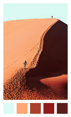 lensblr-network:  { dune 45 }~namib desert, namibia by Vanessa Quijano  (colorsperceived.com)