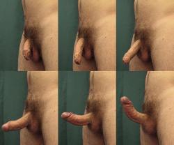 I do not like cocks that are growers.  I prefer them to drop out of their pants soft and 8  inches long and my job is to suck all 8  inches into full erection.  Much more visually stimulating for me as opposed to a tiny 3inch thing that may grow to 6