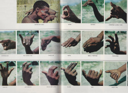 avtavr:Hand-signed communiqués of Bushmen warriors on the hunt; these signals are used for uniquely identifying the various threats and game in an area.Photos by Irven DeVore, 1965
