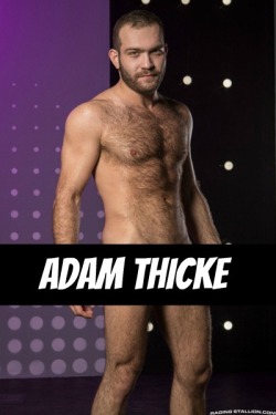 ADAM THICKE at RagingStallion  CLICK THIS TEXT to see the NSFW original.