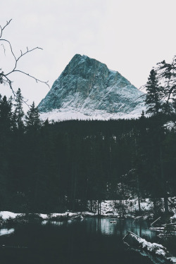 avenuesofinspiration:Canmore, Canada | @Mammothstock | AOI 