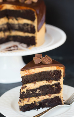 chocolateguru:   Peanut Butter Cup Overload Cake 