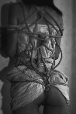 stefanradev-foto:   Bundle of ropes with Petya  