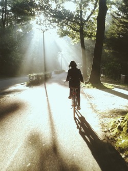  8:40am // On my way to school, one of the best bike rides I’ve ever had! 