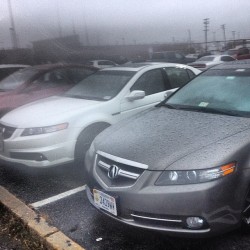 Standing out in the crowd!  #acuracrew #acuragang #teamacura #tl #types #acuratypes #wdp #cbp #typesswag #hamptonroadstlfamily #acuratl2008types  (at Submarine Pier Norfolk Naval Station)
