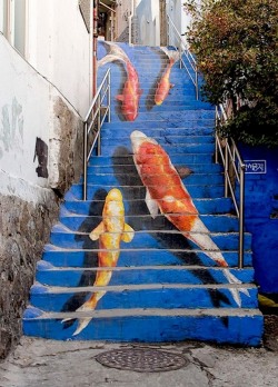asylum-art:  Street art: Beautifully decorated and painted Steps by ROA Fish steps, Seoul, South Korea Rose steps in Tehran, Iran Piano steps in Valparaiso, Chile Steps in Beirut, Lebanon Pink steps in Capri 16 Avenue Tiled Steps in San Francisco Floral