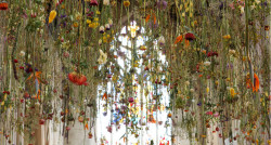 littttlebear:  shaitea:  aeolust:  staceythinx:  Hanging gardens by Rebecca Louise Law  holy fuck  Ohmy wow  This is my dream 