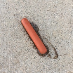 thrulls:Finding this wet hot dog in the street completely changed me as a person